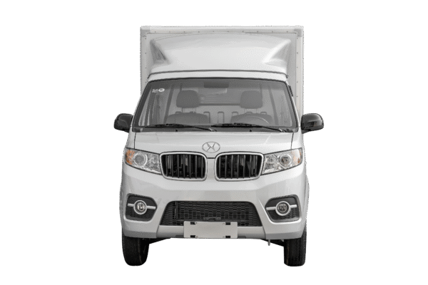 Camion con furgón Shineray T30